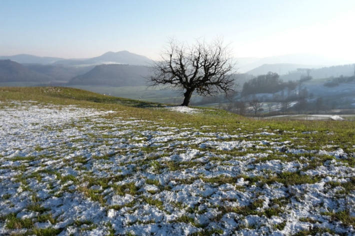 Winterliches Fricktal am 19. Januar in Gipf-Oberfrick.