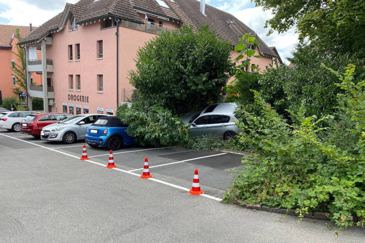 Auto bei Kollision von Baum gestoppt in Hünenberg