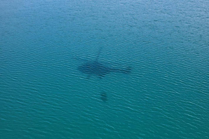 Der Hubschrauber auf dem Weg das "Bambi Bucket" neu zu füllen.