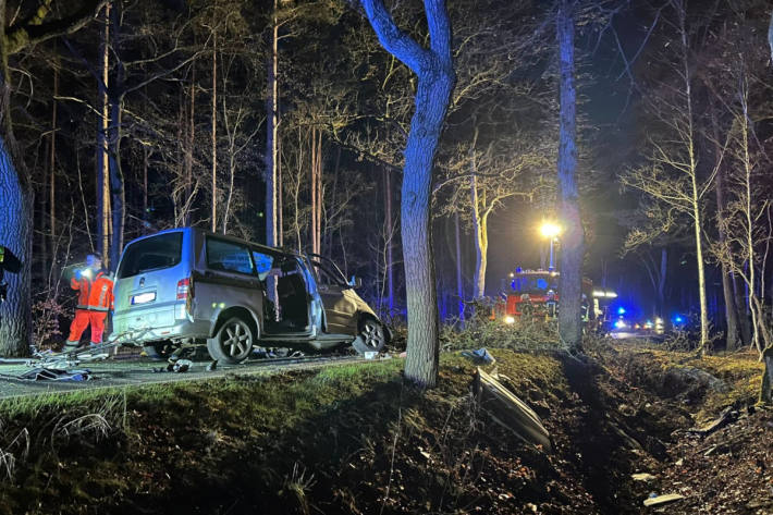 VW-Transporter kollidiert frontal mit Baum – Fahrer verstirbt an Unfallstelle