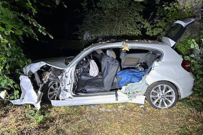 Der Fahrer stand unter Alkoholeinfluss, der Führerschein wurde ihm entzogen.