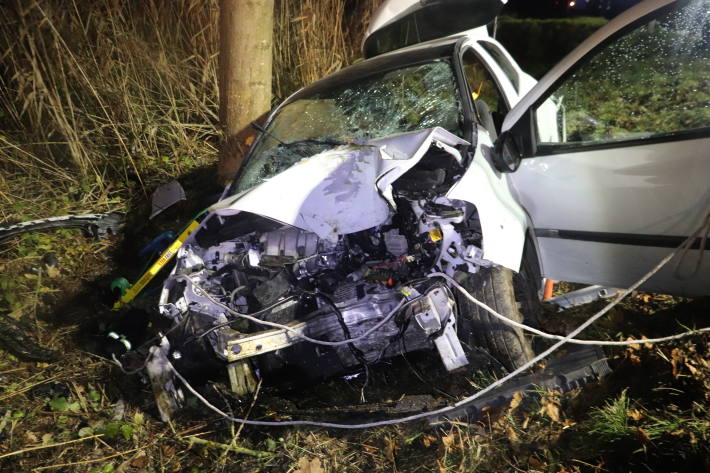 Unter Alkoholeinfluss vor Baum gelandet