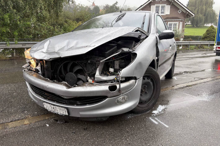 Die 41-jährige Lenkerin wurde verletzt ins Spital gebracht.