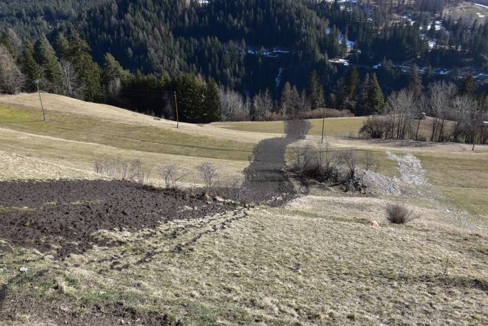 Gewässerverschmutzung durch Jauche in Schmitten Albula