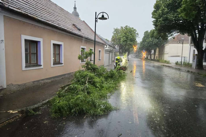 Das Gewitter am Abend war kurz aber heftig.