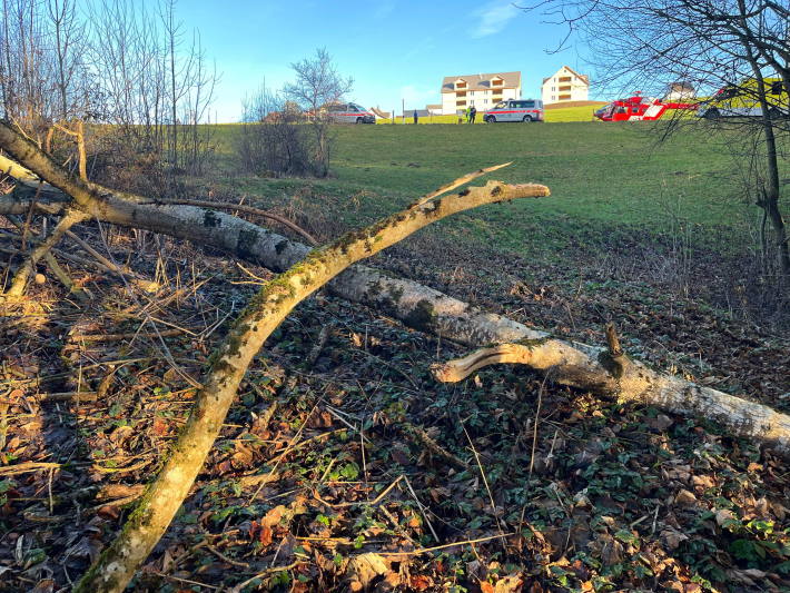 Mann nach Unfall beim Holzen per Rega ins Spital geflogen