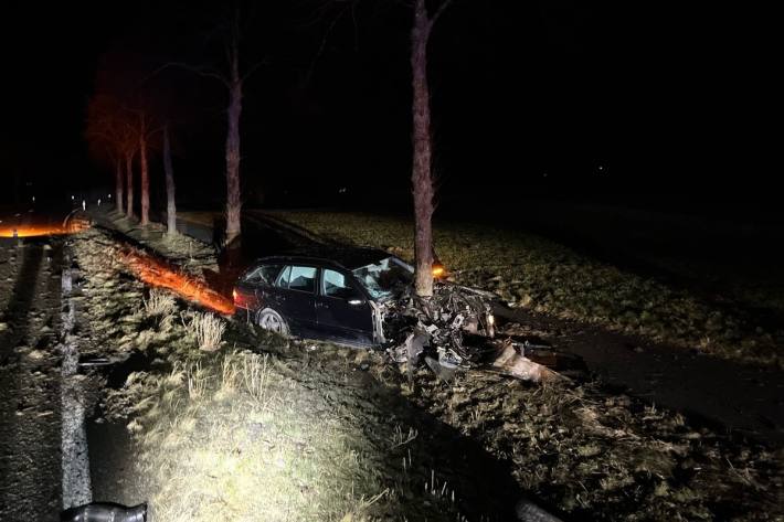 Gegen einen Baum geprallt