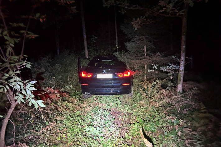 Im Wald zum Stillstand gekommen