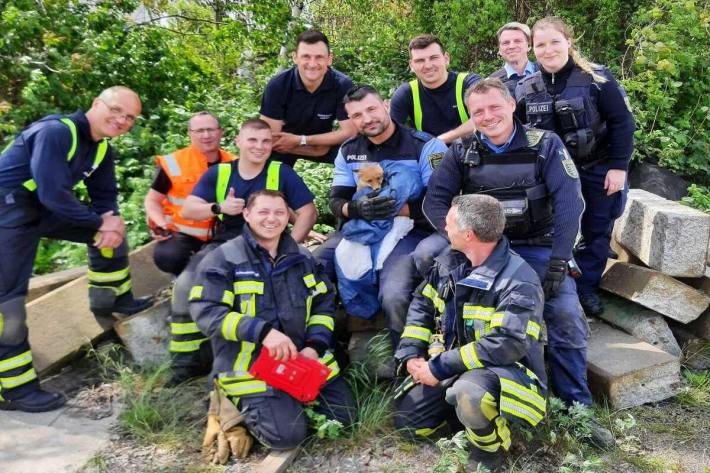 Feuerwehr und Polizei retteten das Tier