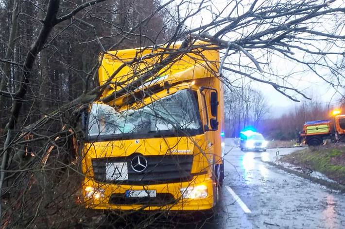 LKW von umstürzendem Baum in Wiehl getroffen