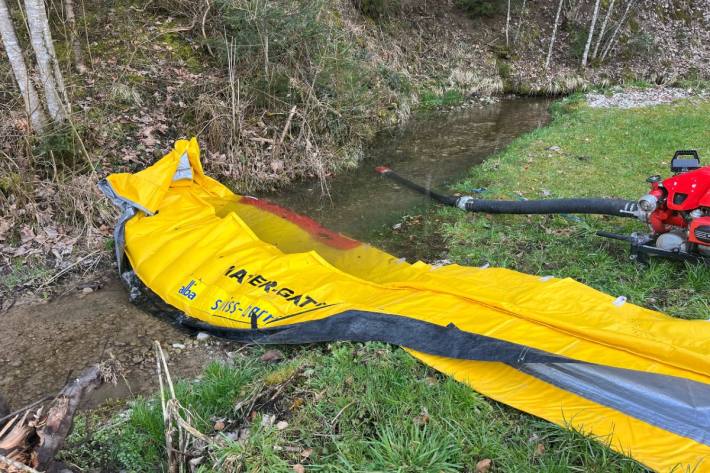 Jauche in Dorfbach bei Mosnang gelangt.