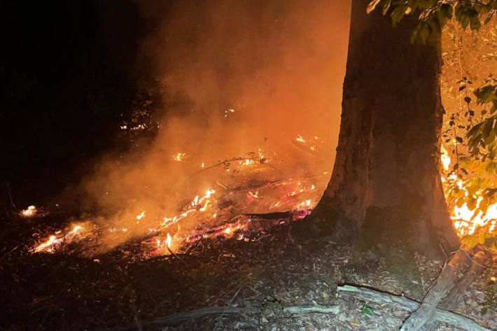 Waldbrand schnell unter Kontrolle gebracht