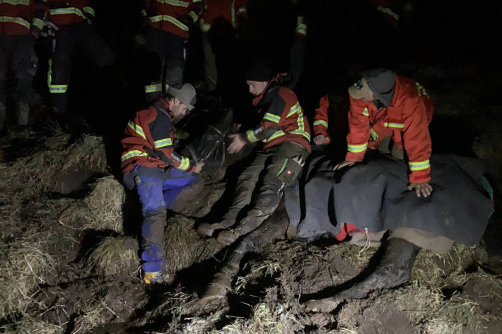 Spezieller Rega-Einsatz für Pferd in Not