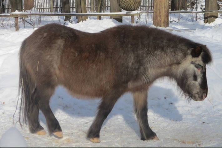 Ein Foto von Moni aus dem Winter 2021.
