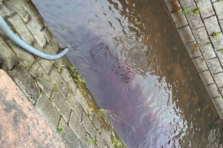 Aus unbekannten Gründen wurde Rotwein im Modenbach entsorgt.