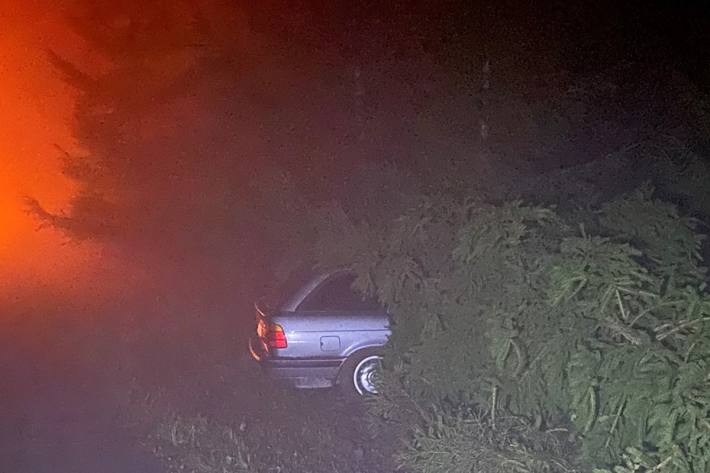 Das Fahrzeug erlitt einen Totalschaden.