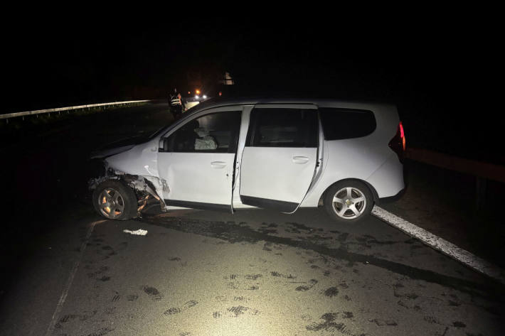 Der Lenker blieb unverletzt.