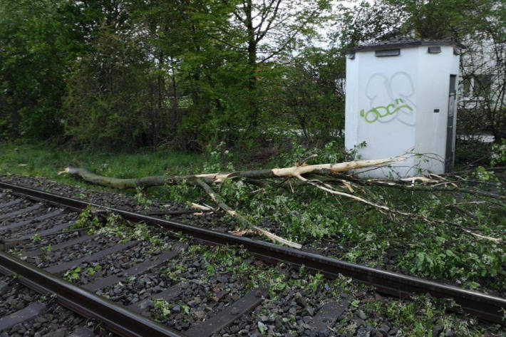 Zug kollidiert mit einem umgestürzten Baum im Bahngleis in Cloppenburg