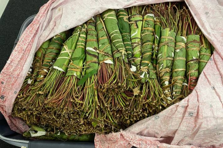 Am Zürich-Flughafen wurden Drogenkuriere verhaftet.