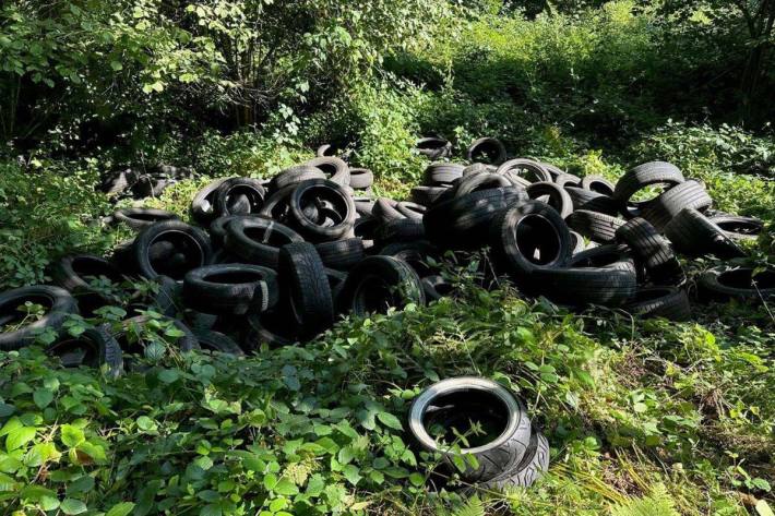 Ungefähr 100 Altreifen wurden illegal im Wald abgeladen.