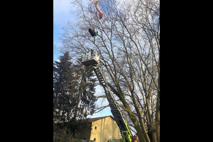 Höhenretter retten verunglückten Gleitschirmpilot in Zürich