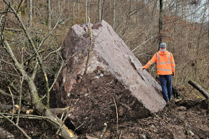 Die Blöcke blieben im Schutzwald liegen.
