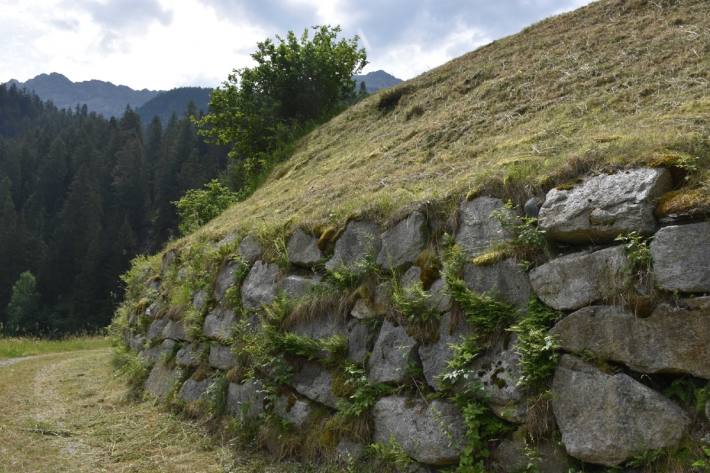 Ein 66-Jähriger verletzte sich bei Strada GR schwer.