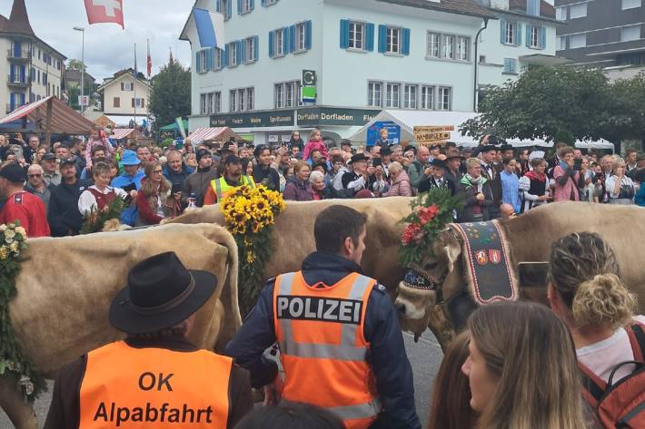 Friedliche Alpabfahrt in Schüpfheim.