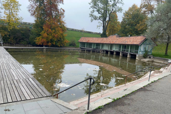 Verschmutzung des Mannenweiher in St. Galle