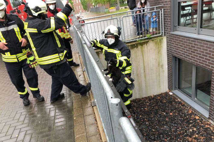 Katze aus Schacht gerettet in Hennef