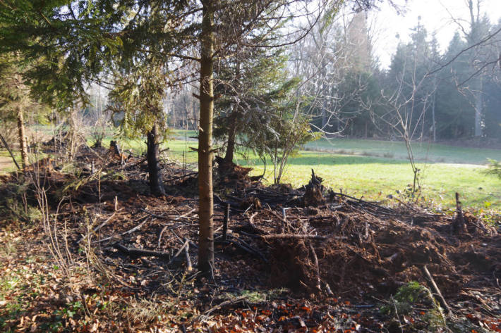 Waldbrand in Eschenbach