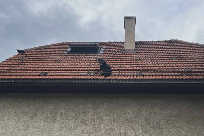 Gordon kletterte durch das Dachfenster nach draussen.