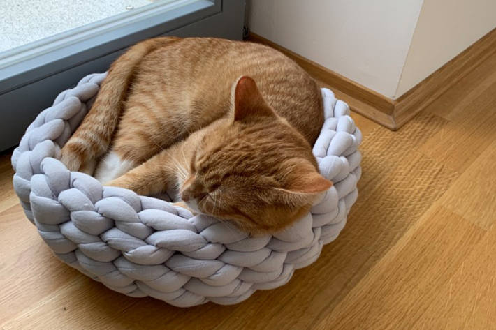 Erschöpfte Katze.