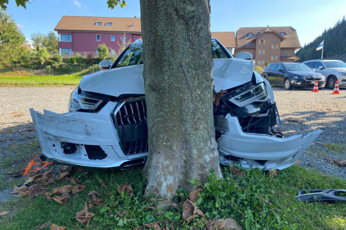 Das Auto des Rentners stoppte an einem Baum.