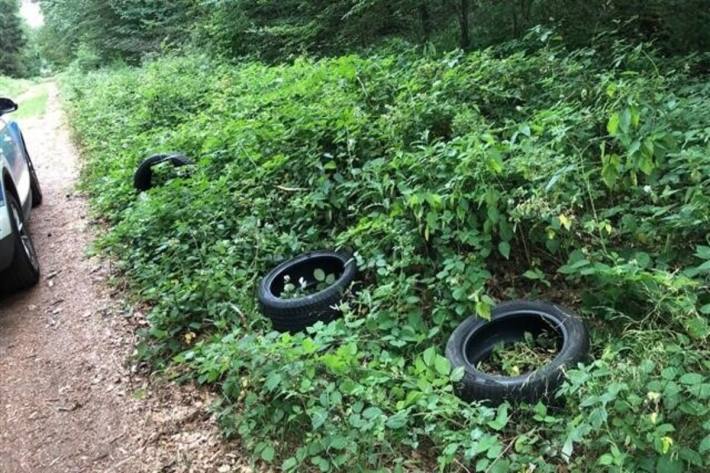 Die Polizei hofft auf Hinweise aus der Bevölkerung