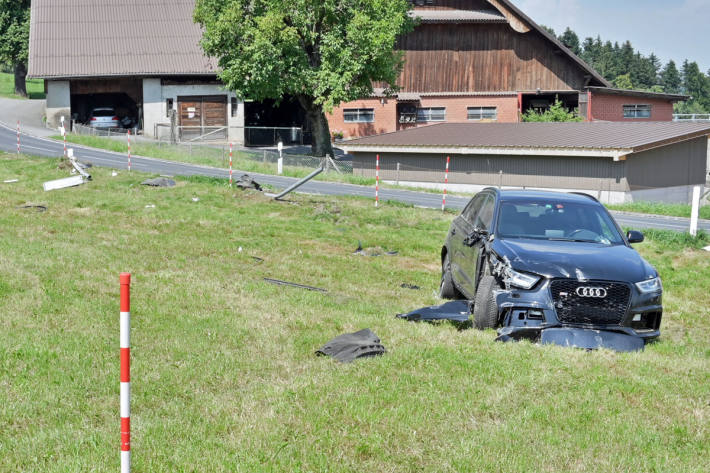 Die Fahrerin wurde verletzt in ein Spital gebracht.