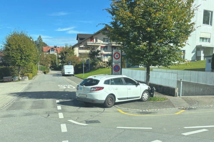 Der Mann prallte mit seinem Wagen gegen einen Baum.