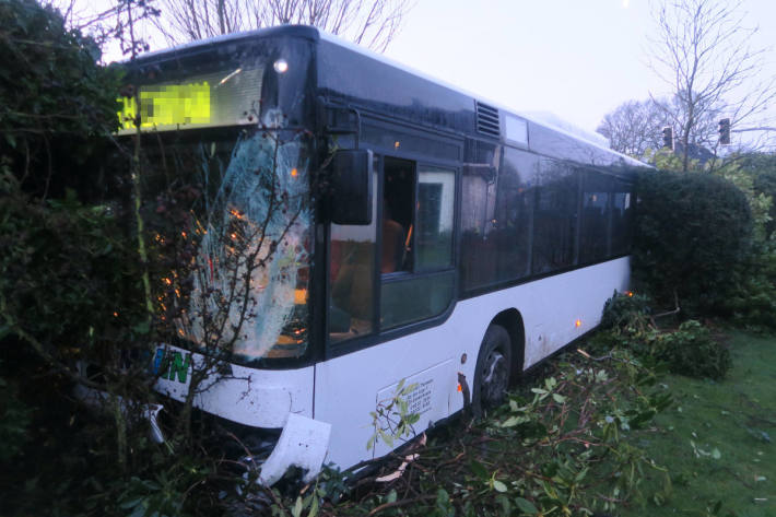 Bus in Garten