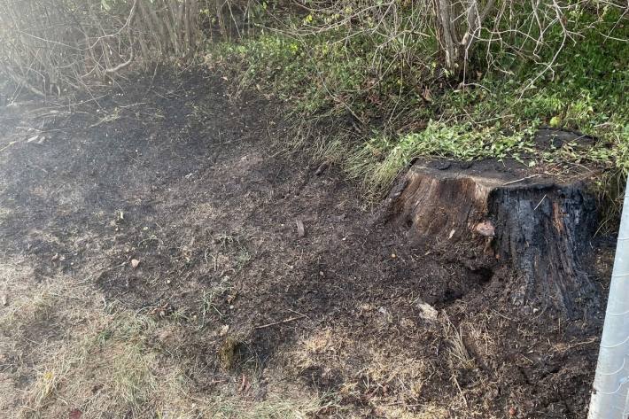 Die Feuerwehr konnte den Brand erfolgreich löschen