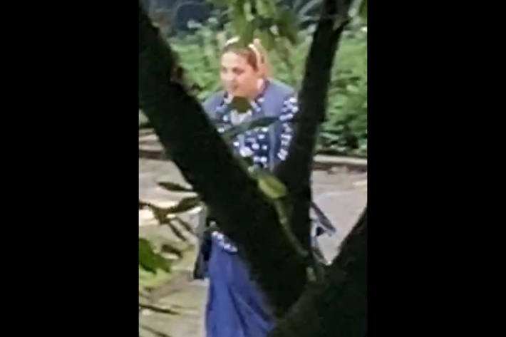 Einem Nachbar gelang es ein Foto der Trickdiebin zu machen.