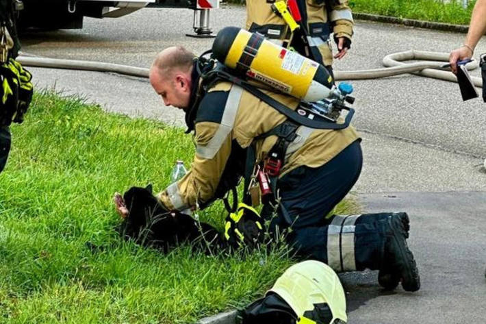 Beim Brand wurden keine Menschen verletzt.