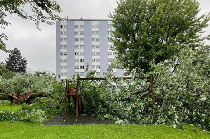 Baum stürzt auf Spielplatz und Autos in Zug