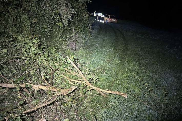 Der Audi kollidierte mit mehreren Bäumen und Büschen.