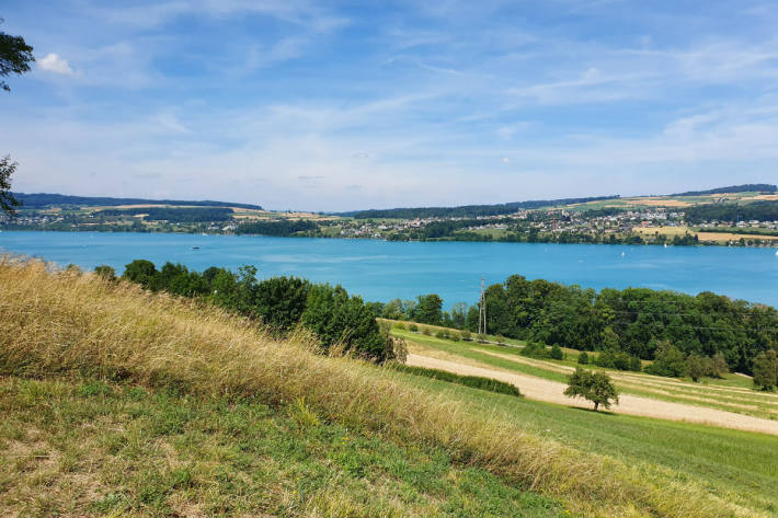 Traumwetter am Hallwilersee