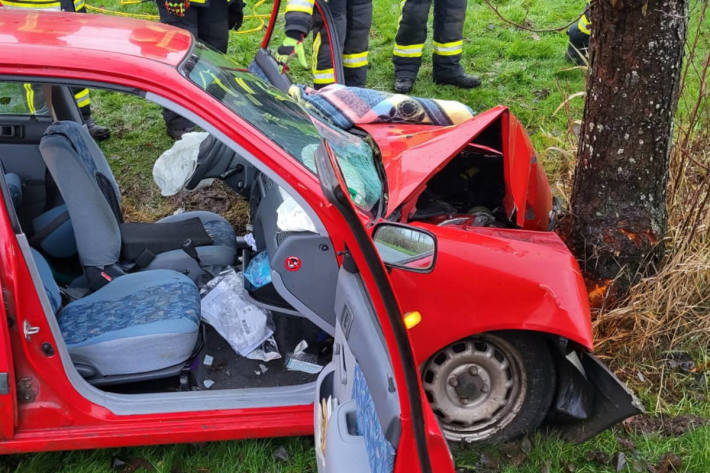 Frau nach Kollision mit Baum schwer verletzt