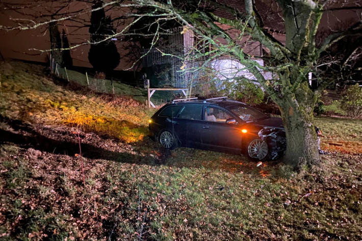 Alkoholisierte Fahrt endet in Baum