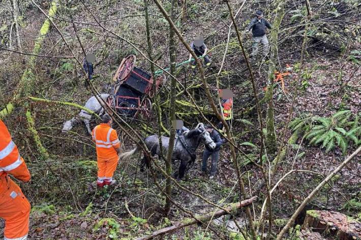 Ein schwerer Kutschenunfall ereignete sich in Mettau.