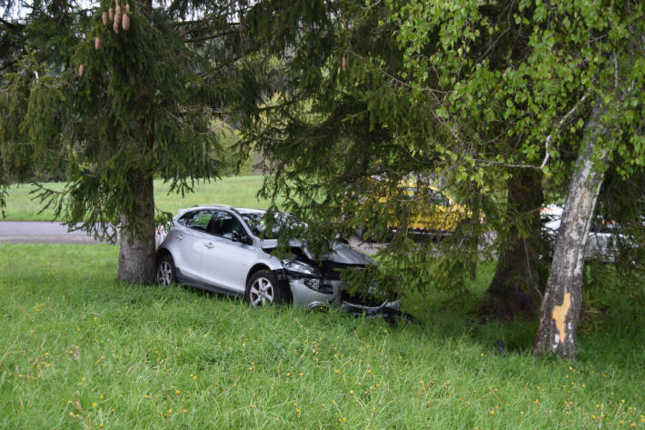 Sekundenschlaf führt zu Unfall