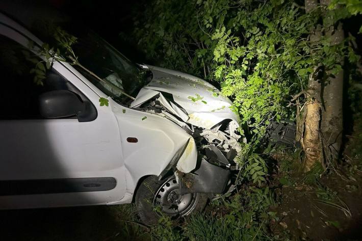 Gegen einen Baum gekracht