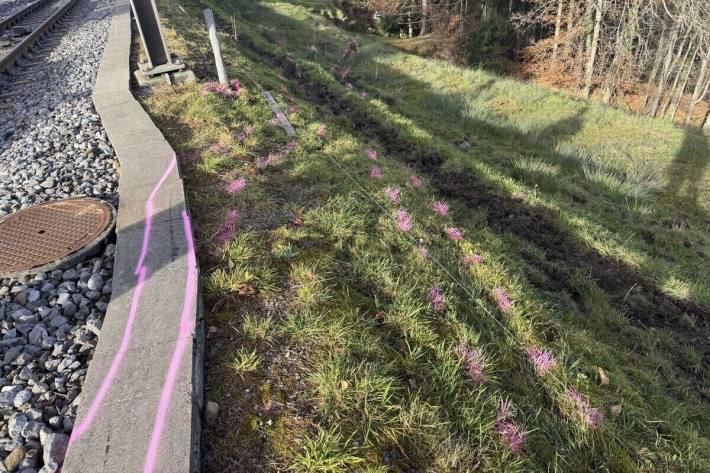 Reifenspuren zeigen die Unfallspur